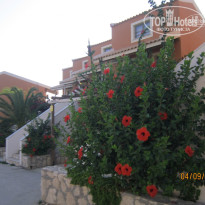 фото из отзыва ID 817002