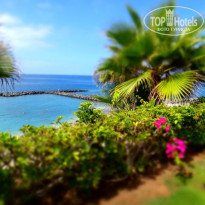 фото из отзыва ID 818129