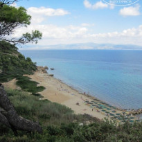 фото из отзыва ID 818495