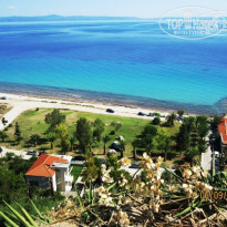 фото из отзыва ID 818495