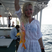 фото из отзыва ID 818750