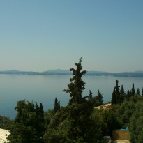 фото из отзыва ID 818926