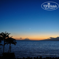 фото из отзыва ID 818771