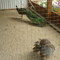 фото из отзыва ID 819005