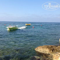 фото из отзыва ID 819026