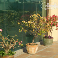 фото из отзыва ID 819057