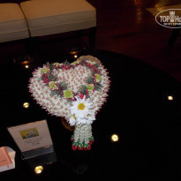 фото из отзыва ID 819057