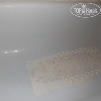 фото из отзыва ID 819076