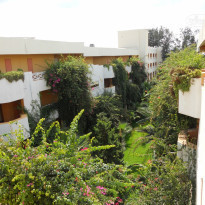 фото из отзыва ID 819132