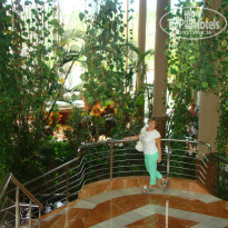 фото из отзыва ID 819169