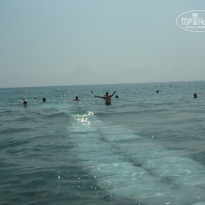 фото из отзыва ID 819346