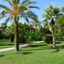 фото из отзыва ID 819368