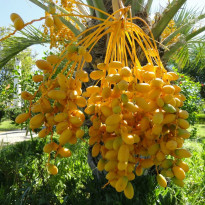 фото из отзыва ID 819351