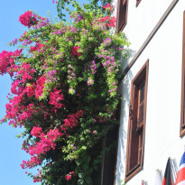 фото из отзыва ID 819524