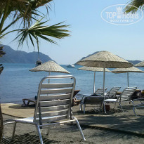 фото из отзыва ID 819542