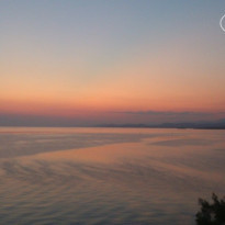 фото из отзыва ID 819752