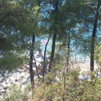 фото из отзыва ID 819752