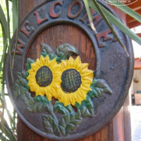 фото из отзыва ID 819752