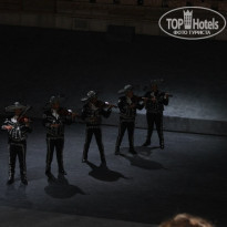 фото из отзыва ID 819874