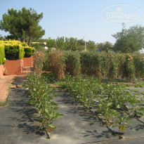 фото из отзыва ID 819918