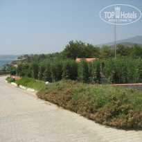 фото из отзыва ID 819918