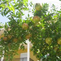 фото из отзыва ID 819918