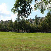 фото из отзыва ID 819031