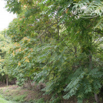 фото из отзыва ID 819031