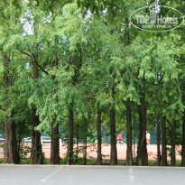 фото из отзыва ID 819031