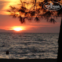 фото из отзыва ID 819878