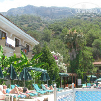 фото из отзыва ID 820404