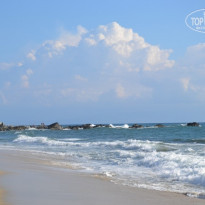 фото из отзыва ID 820613