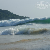 фото из отзыва ID 820306