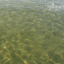 фото из отзыва ID 821158