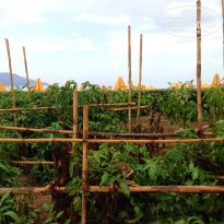 фото из отзыва ID 821231