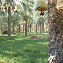 фото из отзыва ID 821751