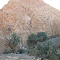 фото из отзыва ID 821751