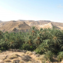 фото из отзыва ID 821751