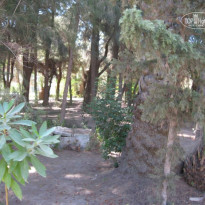 фото из отзыва ID 821751