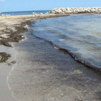 фото из отзыва ID 821751