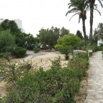 фото из отзыва ID 821751