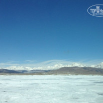 фото из отзыва ID 821954