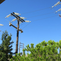 фото из отзыва ID 822045