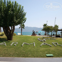 фото из отзыва ID 822154