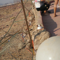 фото из отзыва ID 822160