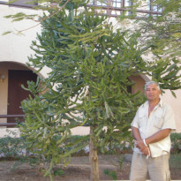 фото из отзыва ID 822160