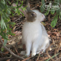 фото из отзыва ID 822181