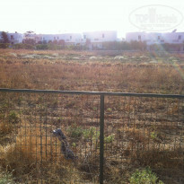 фото из отзыва ID 822184