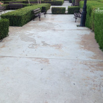 фото из отзыва ID 822254