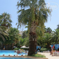 фото из отзыва ID 822613